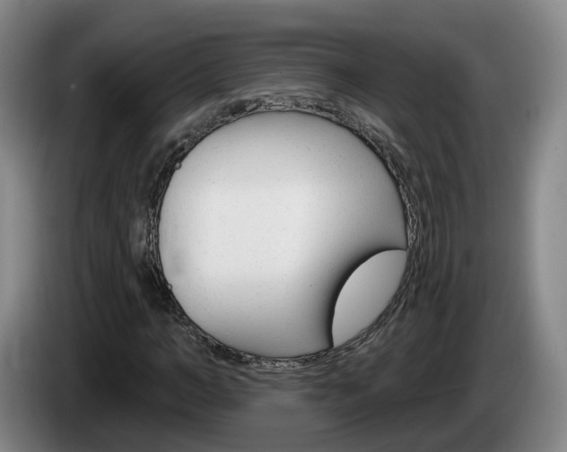 X0000085320966200703091111