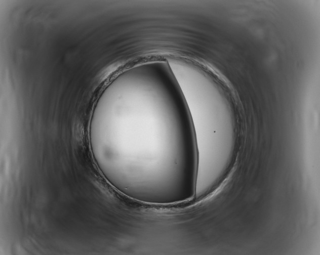 X0000085320969200703091111