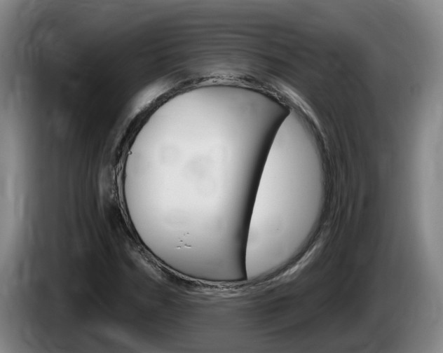 X0000085320970200703091111