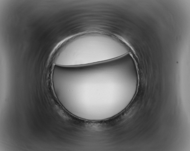 X0000085320971200703091111