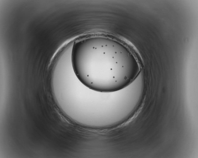 X0000085320973200703091111