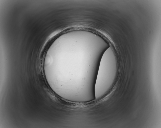 X0000085320974200703091111