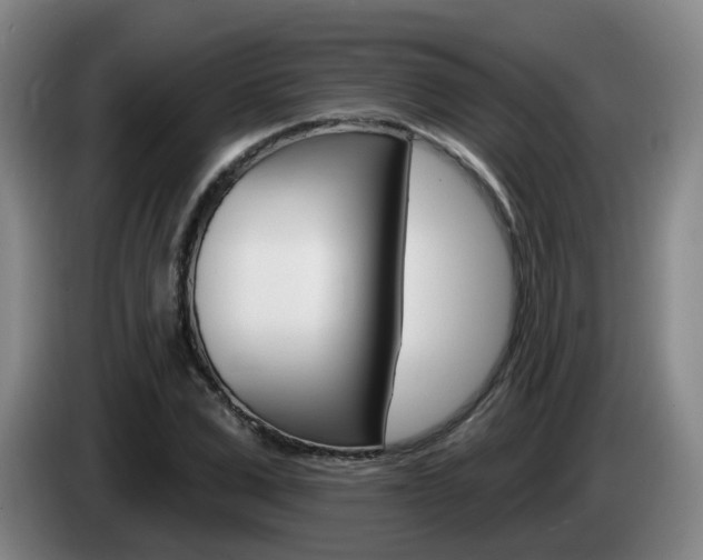 X0000085320975200703091111
