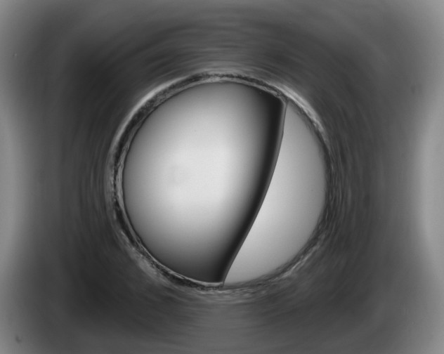 X0000085320976200703091111
