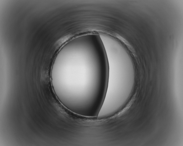 X0000085320977200703091111
