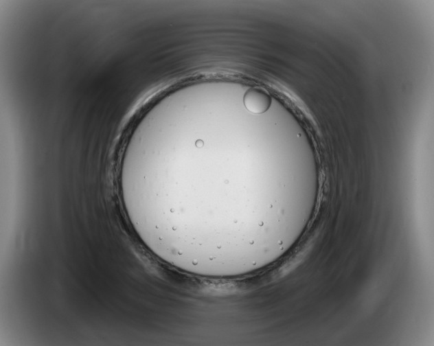X0000085320978200703091111