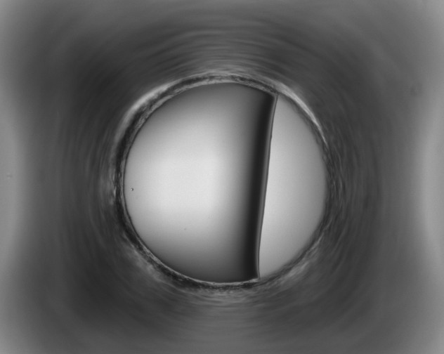 X0000085320979200703091111