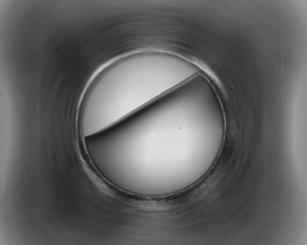 X0000085320980200703091111