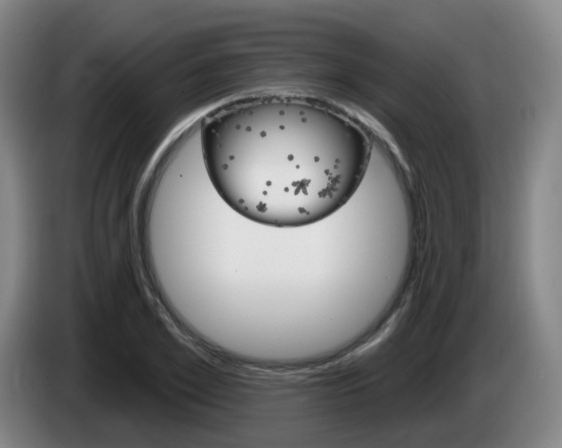 X0000085320981200703091111