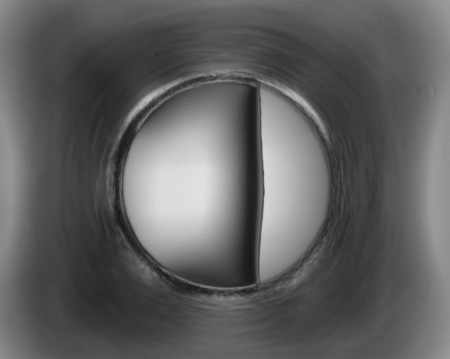 X0000085320983200703091111