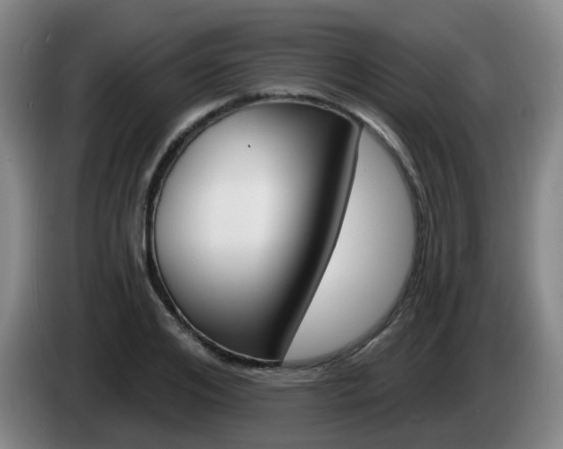 X0000085320984200703091111