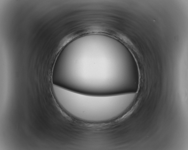 X0000085320985200703091111