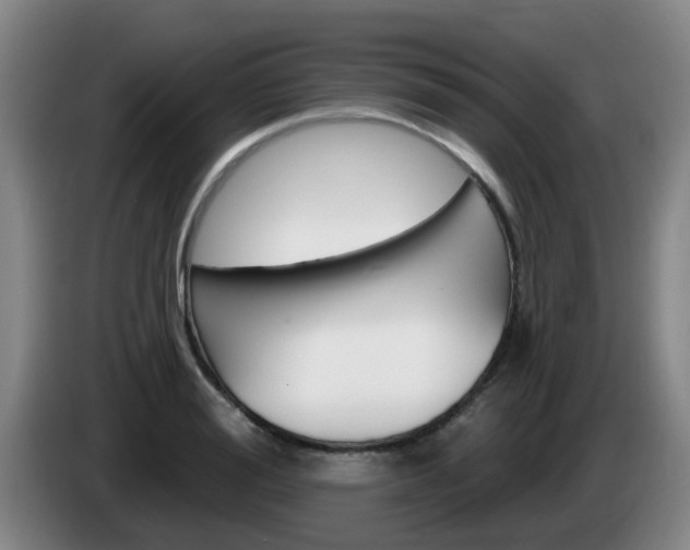 X0000085320988200703091111
