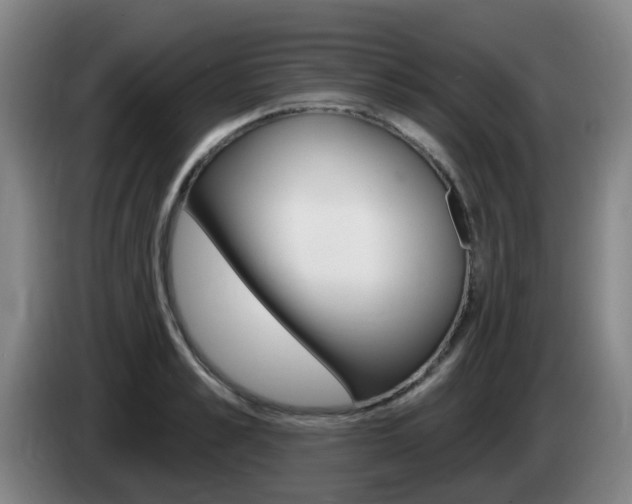X0000085320989200703091111