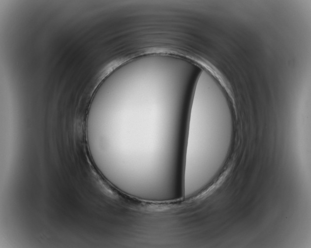 X0000085320993200703091111