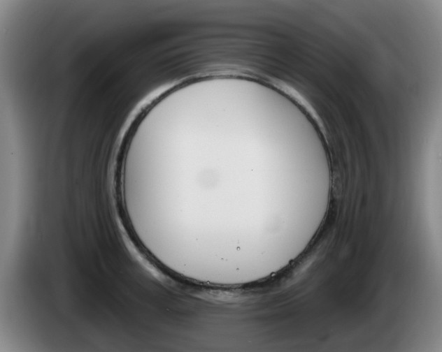 X0000085320995200703091111
