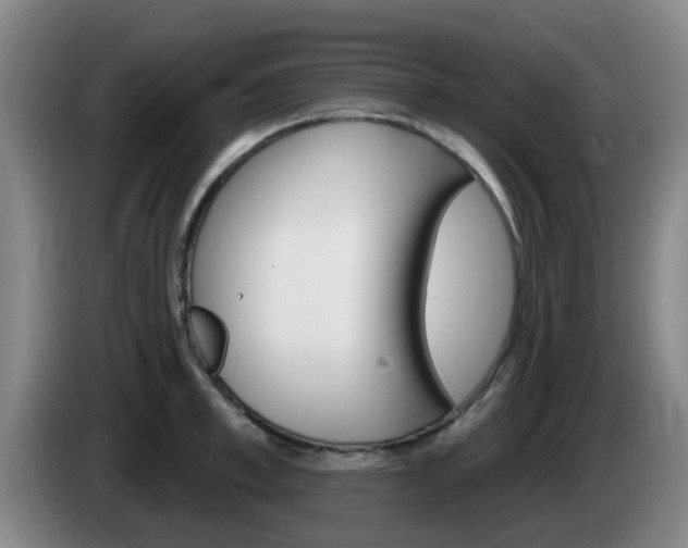 X0000085320997200703091111