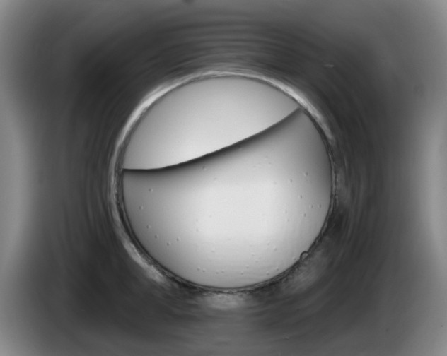 X0000085320998200703091111