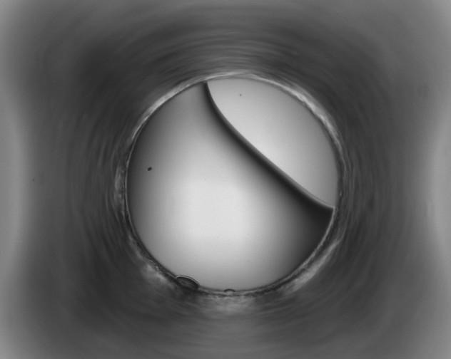 X0000085321001200703091111