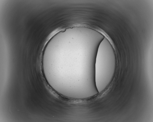 X0000085321002200703091111