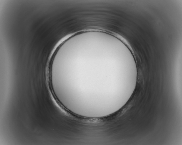 X0000085321003200703091111