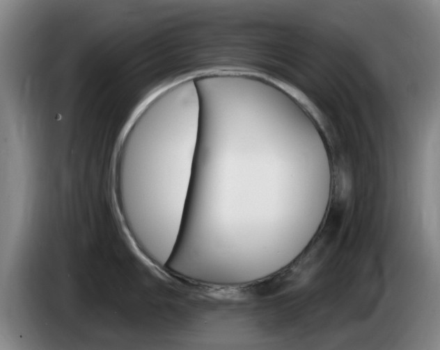X0000085321006200703091111