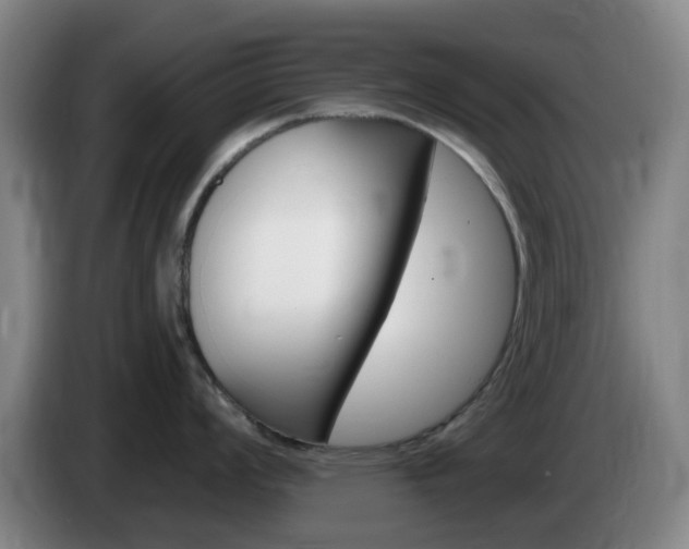 X0000085321008200703091111