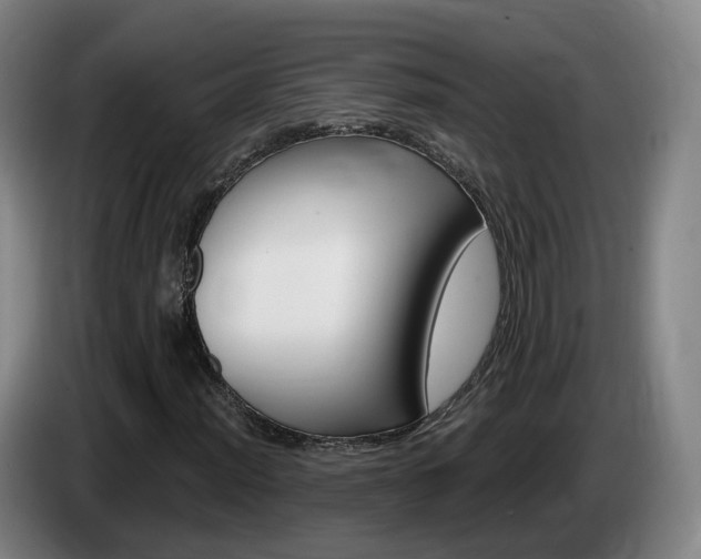 X0000085321012200703091110