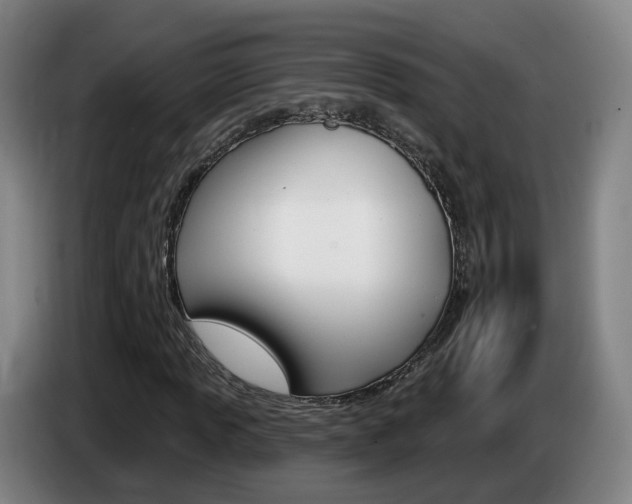 X0000085321013200703091110