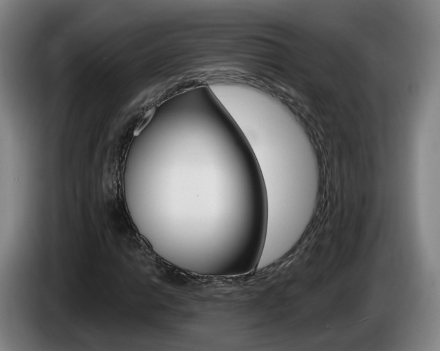 X0000085321014200703091110