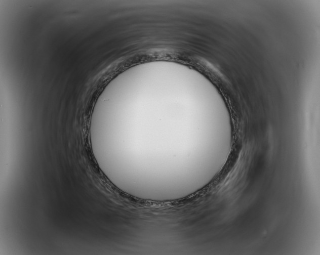 X0000085321015200703091110