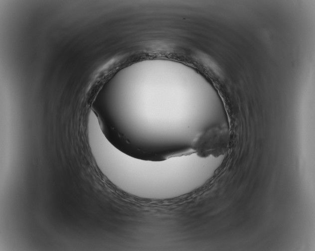 X0000085321016200703091110