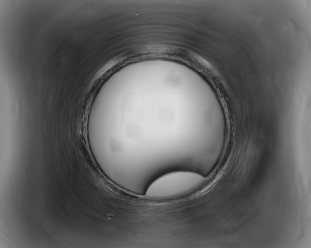 X0000085321017200703091110