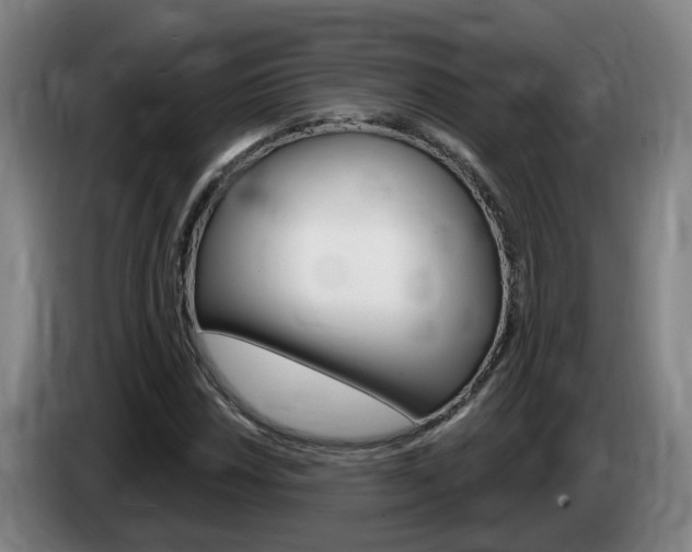 X0000085321018200703091110