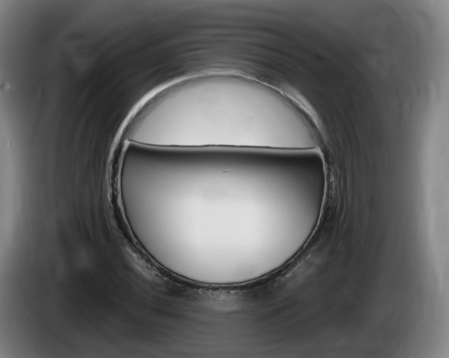 X0000085321020200703091110