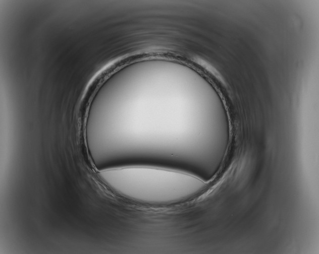 X0000085321021200703091110