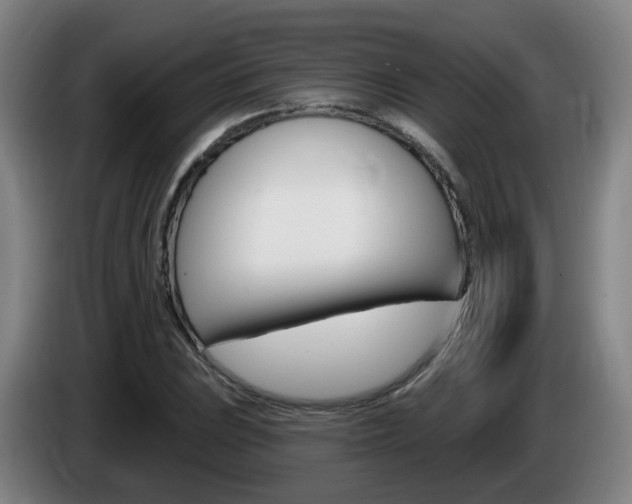 X0000085321023200703091110