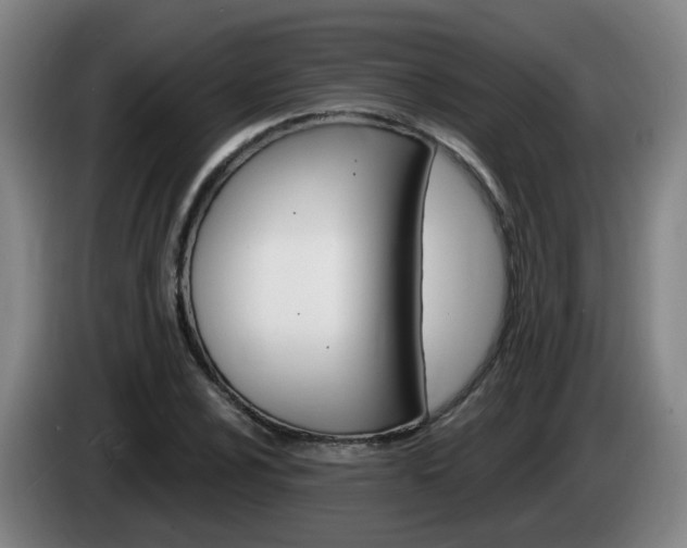 X0000085321024200703091110