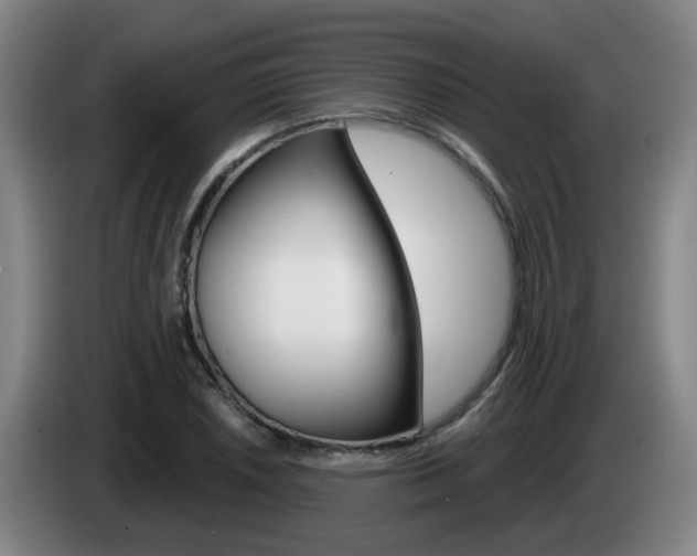 X0000085321026200703091110