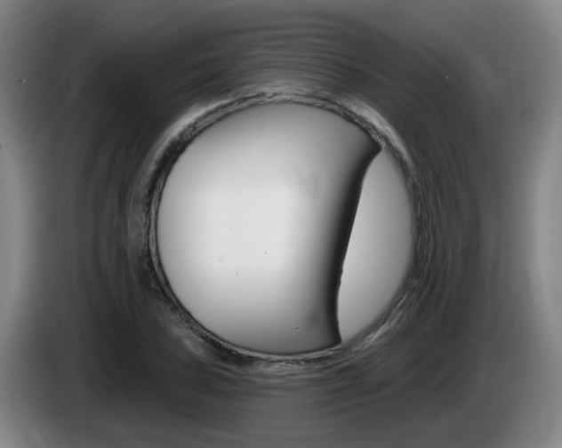 X0000085321027200703091110