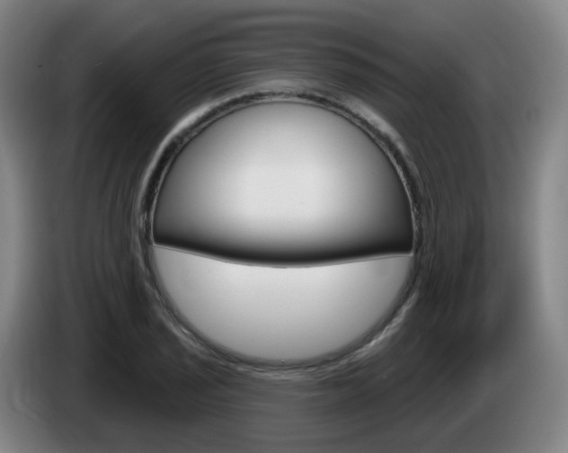 X0000085321029200703091110
