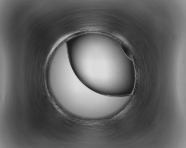 X0000085321030200703091110