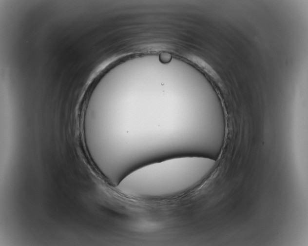 X0000085321031200703091110