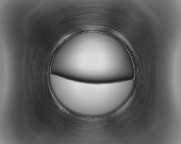 X0000085321033200703091111