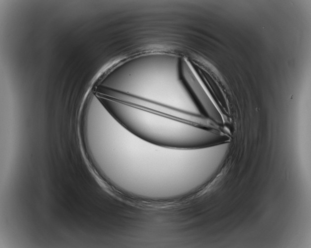 X0000085321034200703091111