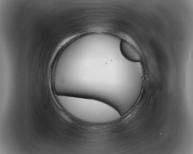 X0000085321035200703091111