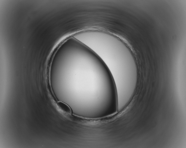X0000085321038200703091111
