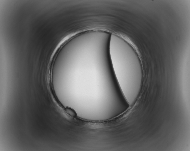 X0000085321040200703091111