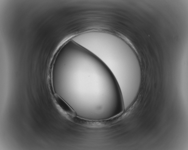 X0000085321042200703091111