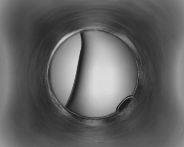 X0000085321044200703091111